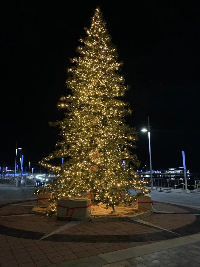 Pet Friendly Condos At Friday Harbour Innisfil Buitenkant foto