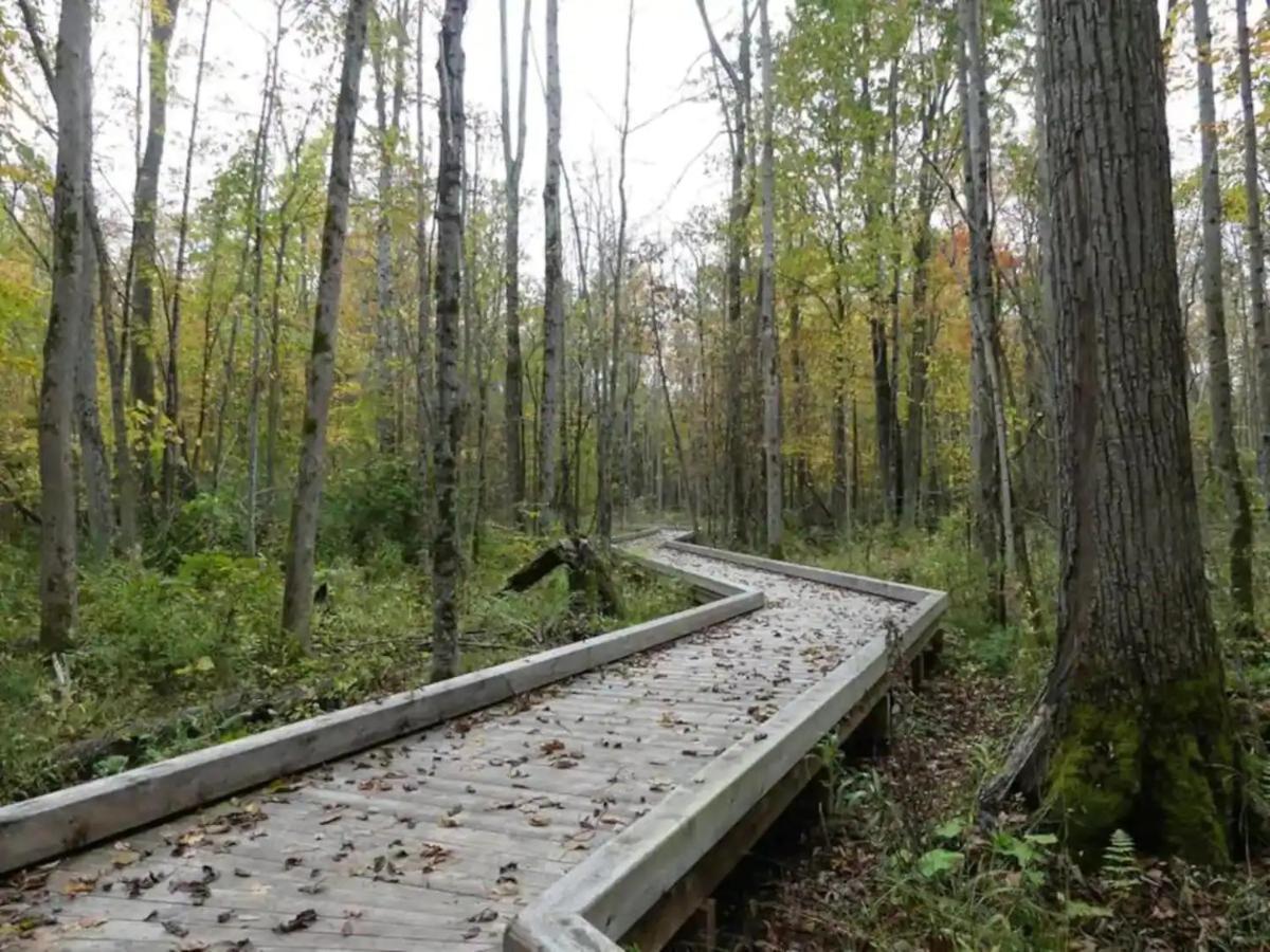 Pet Friendly Condos At Friday Harbour Innisfil Buitenkant foto