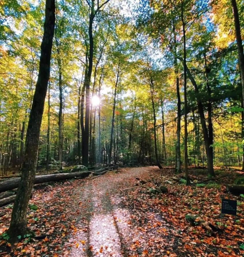 Pet Friendly Condos At Friday Harbour Innisfil Buitenkant foto